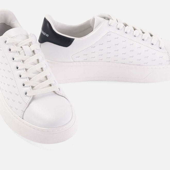 Shop On Line Sneaker in pelle con motivo bassotti harmonte blaine
